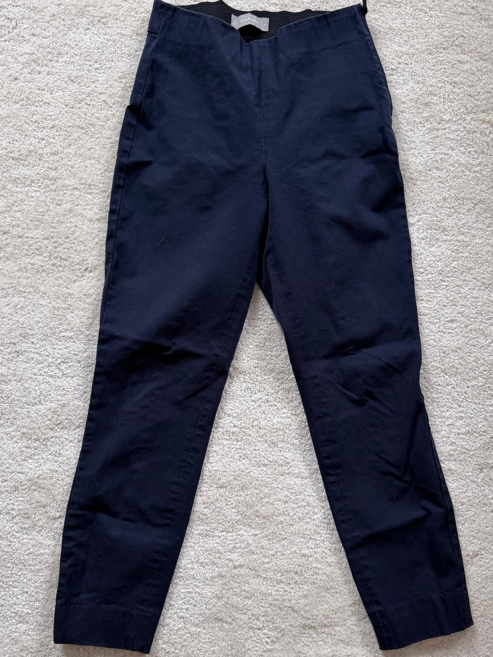 Women’s Everlane Side-Zip Work Pant in Navy